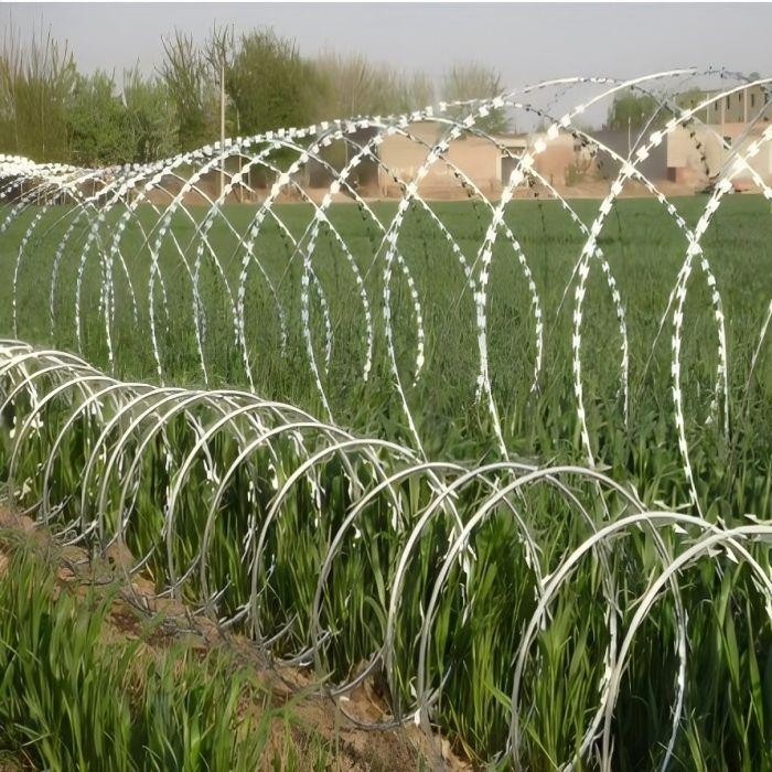 Stainless Steel Razor Wire high quality Stainless Steel Razor Wire high quality